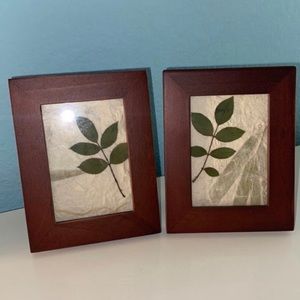 Pressed Leaves in Black Walnut Frames (Set of 2)